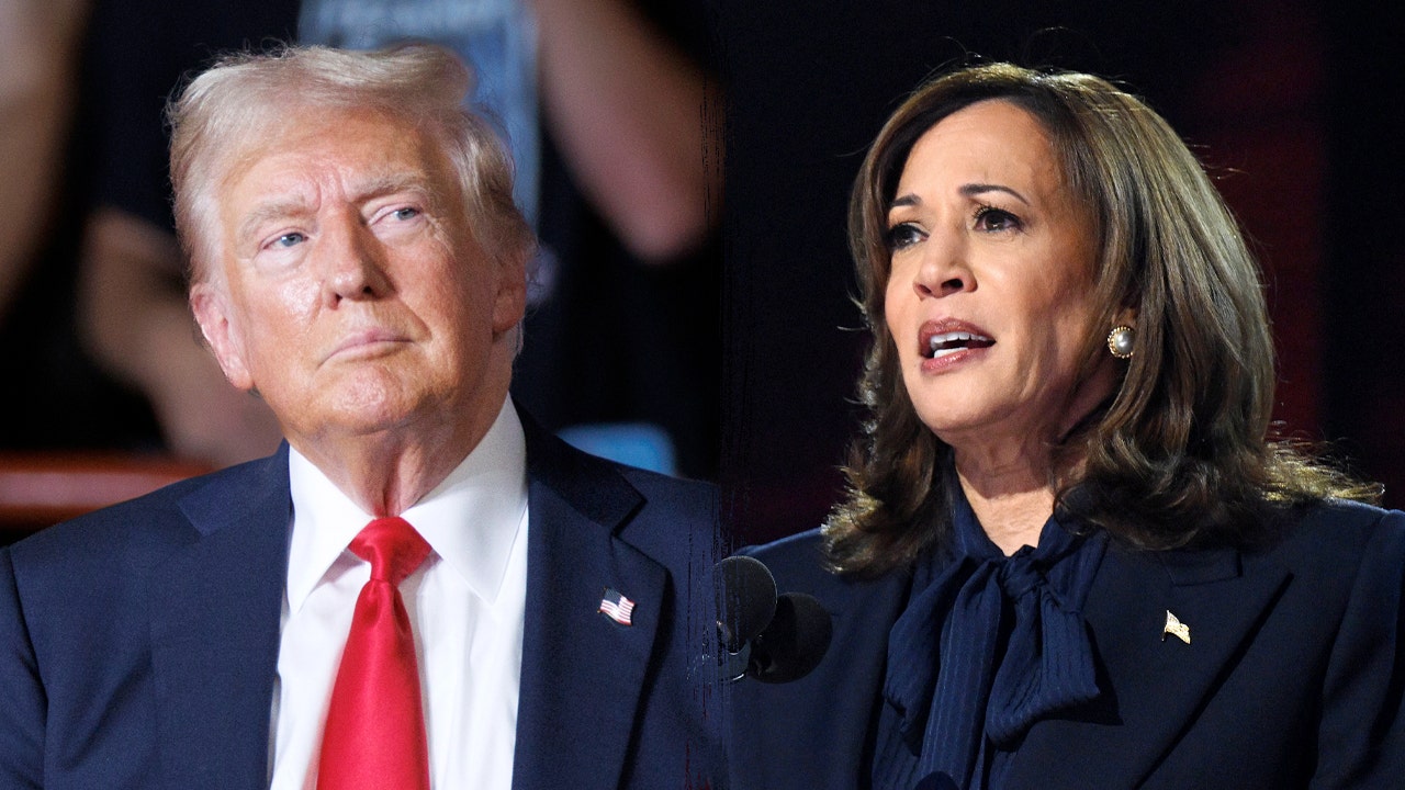 Despite leading Trump by 2 points in a national poll, Harris exhibits weaknesses among non-White voters.