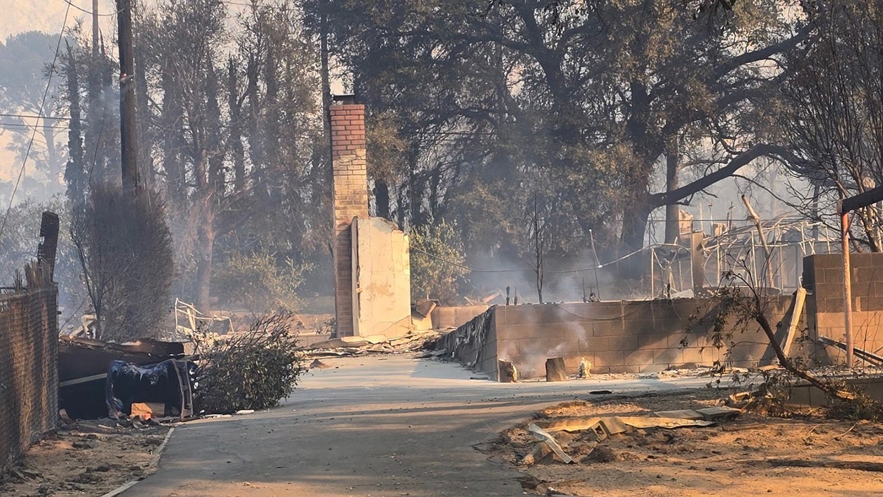 Eaton Fire survivor, a single mom, praises Altadena's resilience and determination.