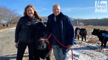 'We need to know': NJ couple shares account of mysterious aircraft and bizarre phenomenon