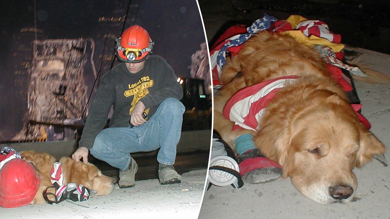 Canine handlers for therapy and search and rescue dogs discuss their duties following 9/11 relief efforts.