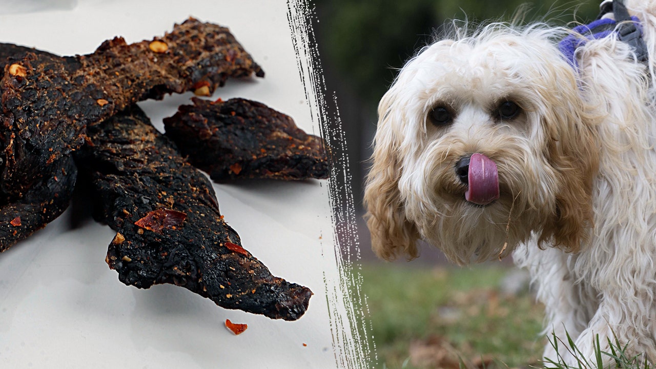 A Mississippi teacher was let go following accusations of giving students dog treats, which were mistakenly identified as beef jerky.