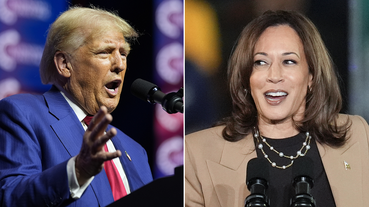 As Election Day approaches, pro-Harris merchandise is being outpaced by Trump merchandise by a significant margin.