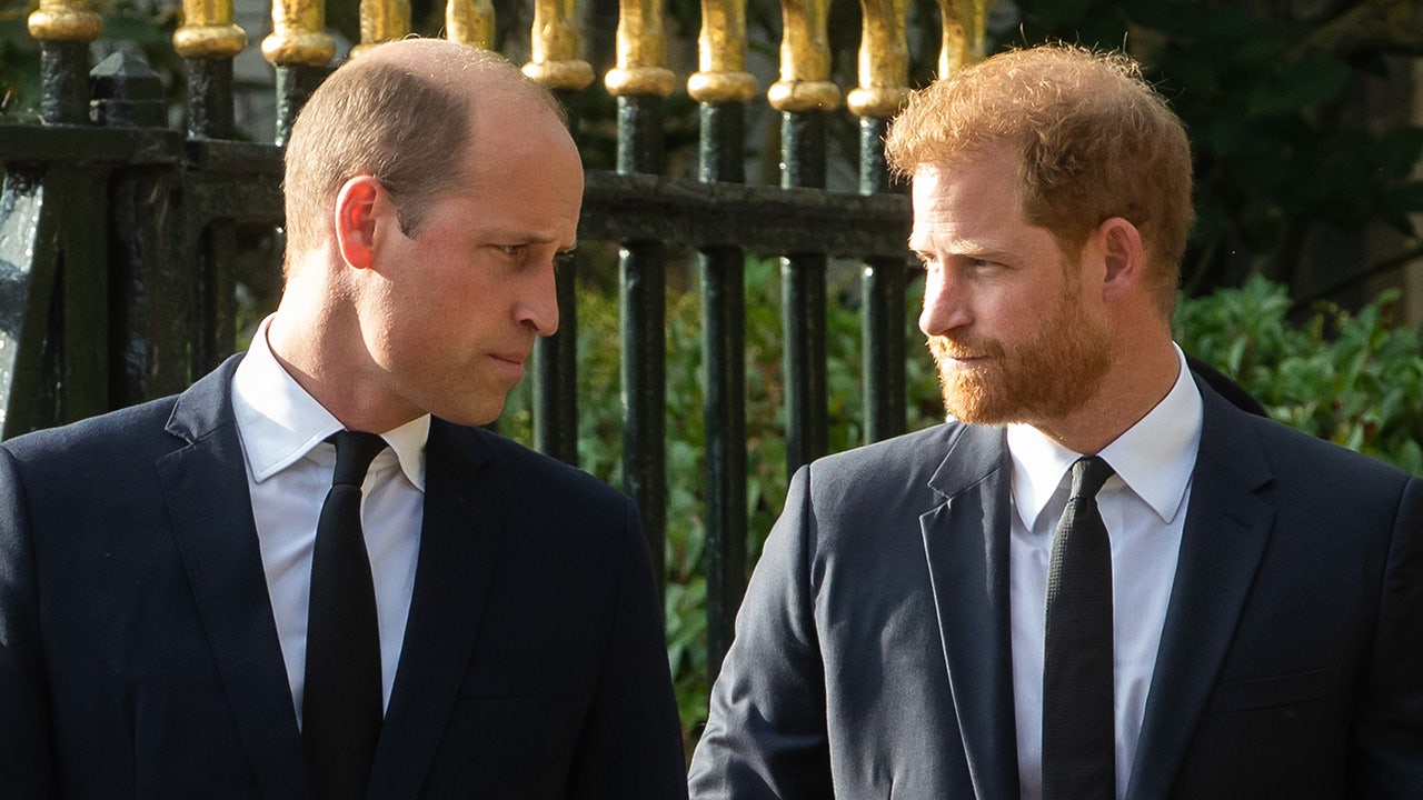 The feud between Prince William and Prince Harry may finally come to an end with the help of Princess Diana's family, according to an expert.