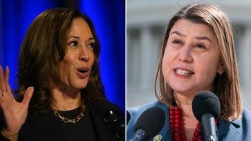 Michigan Democratic Senate candidate warns that Harris is losing ground in crucial state: "Sinking"