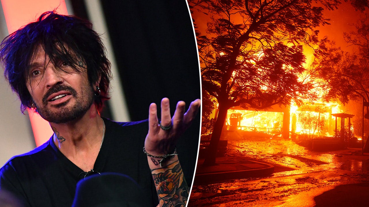 Tommy Lee criticizes celebrities for promoting themselves during the LA fires.