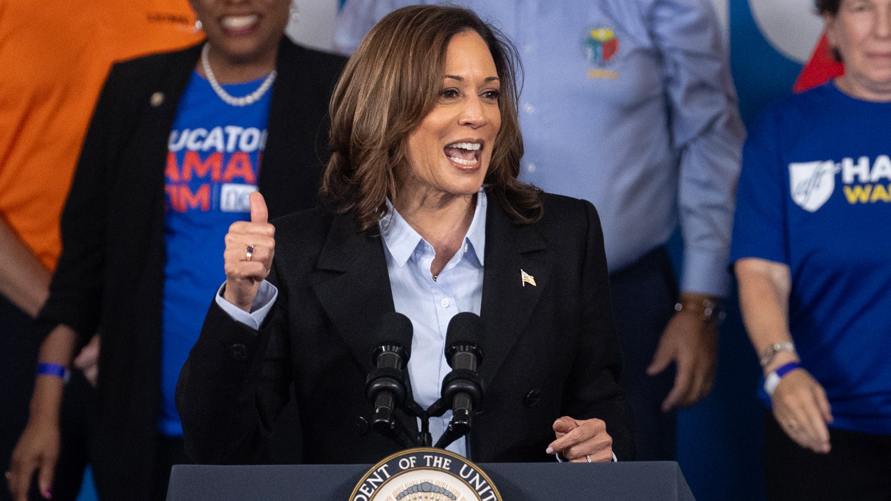 Black voters continue to support Harris, while Trump's numbers remain stable: poll