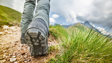 In Italy, a hiker stumbled upon ancient 280-million-year-old footprints.