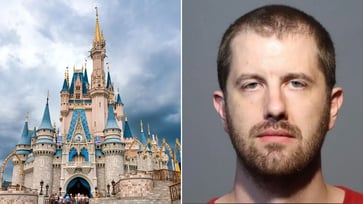 Disney World employee pleads guilty to hacking menu, removing critical allergy information.