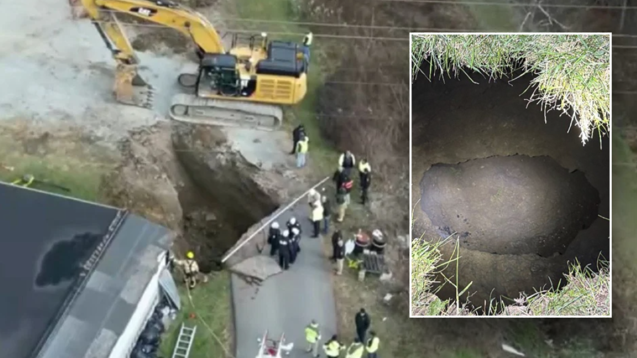 Lost cat search led to grandma's disappearance in sinkhole, never returned.