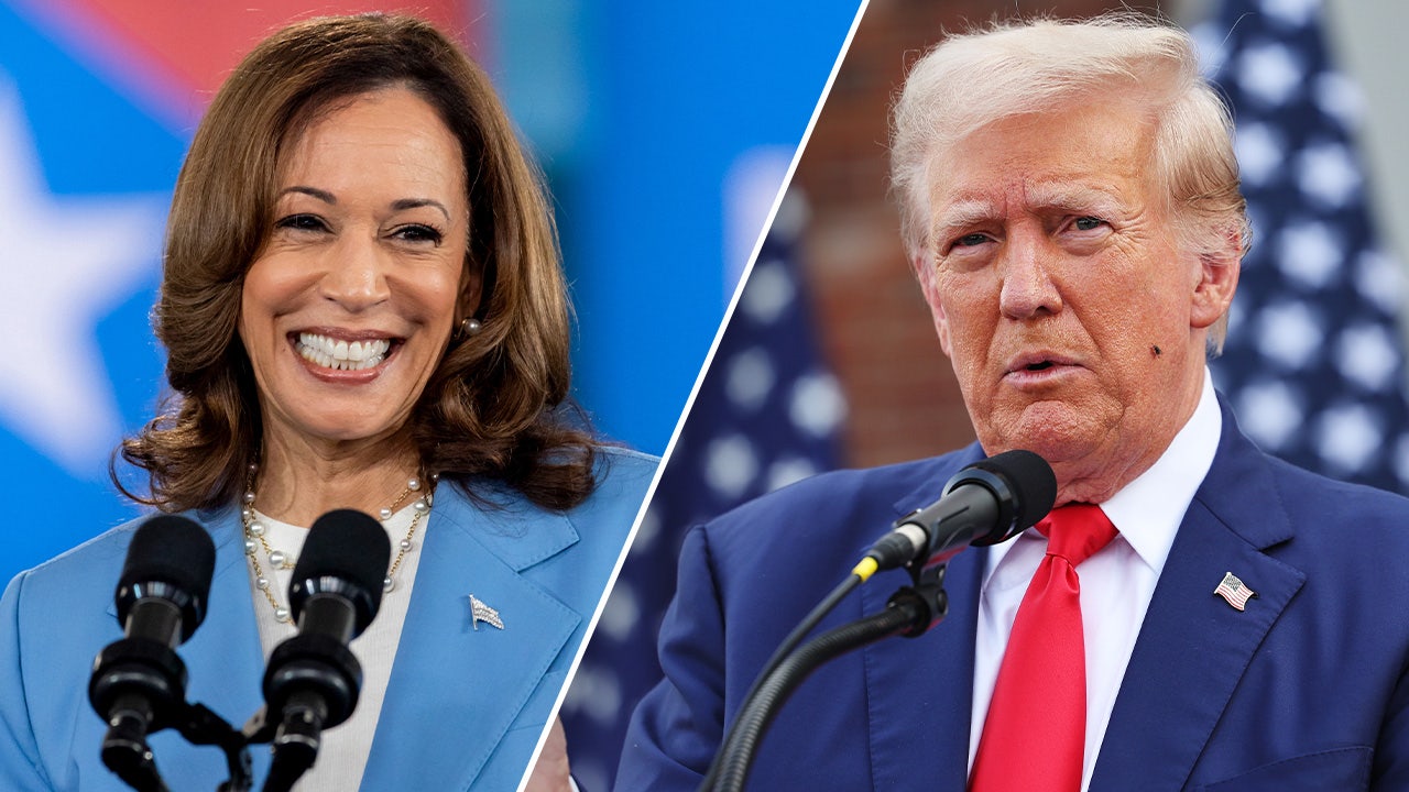 'No, I'm not a conspiracy theorist': Harris campaign aide suggests Trump colluded with Putin and Israel to win election.