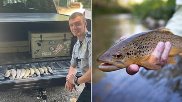 Game warden charges Georgia angler for concealed fish.