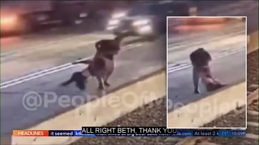 Video footage shows a woman being forcibly removed from a train track and thrown into traffic on a California freeway.