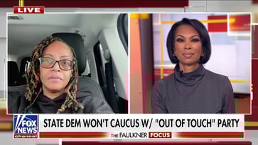 Michigan Democrat declines to align with her 'disconnected party': "I'm better off on my own"