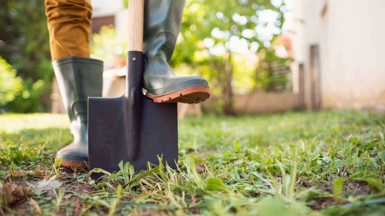 While gardening, a son and his mother frequently unearth an ancient artifact near burial sites.