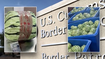 Fake watermelon packaging containing meth worth over $5M seized at US-Mexico border.