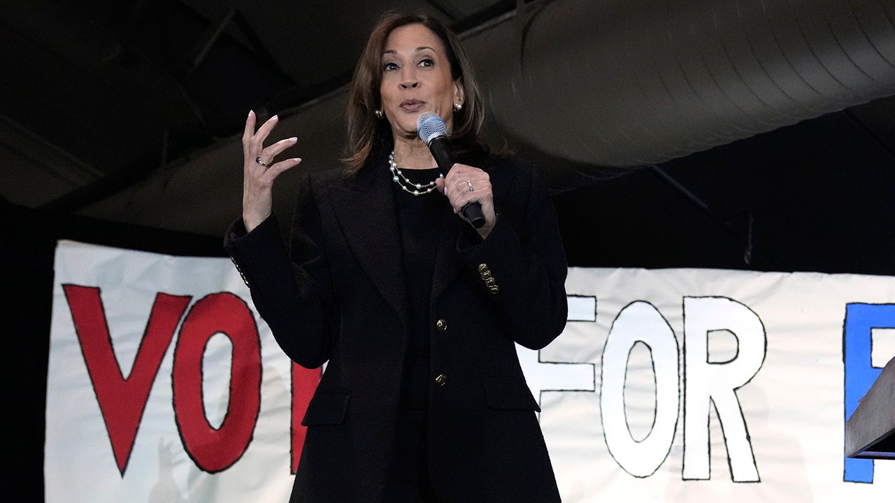 Michigan's Muslim voters are the target of Harris' final plea.