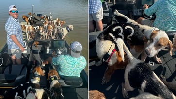 In Mississippi, 38 dogs were rescued by fishermen who bravely waded into the water.