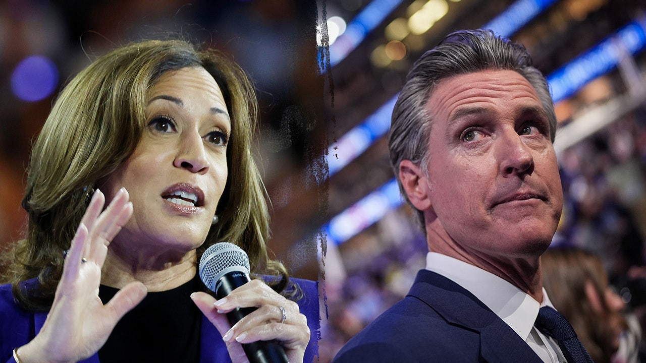 Gavin Newsom jokes about Harris's potential nomination without a primary, saying it's inclusive.