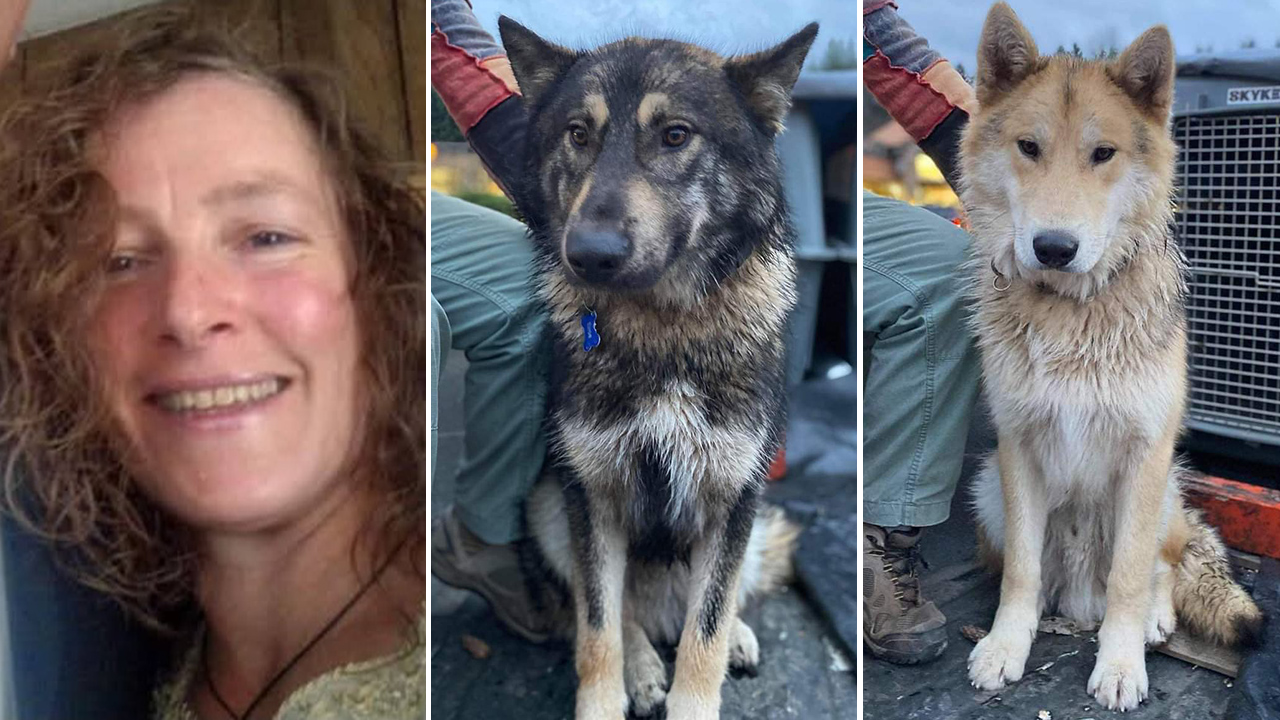 Missing hiker found dead with dogs; estranged husband arrested for murder, fearing for his life.