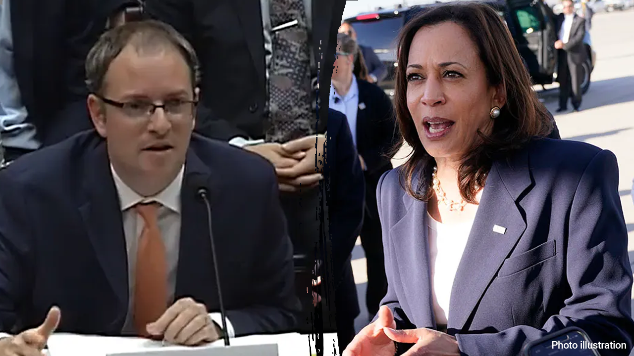 Kamala Harris' appointment of a Jewish liaison director faces criticism over Israel and Iran stance: 'Red flag'