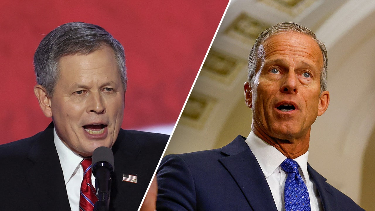 Sen. Steve Daines privately backed John Thune in a tight leader race.