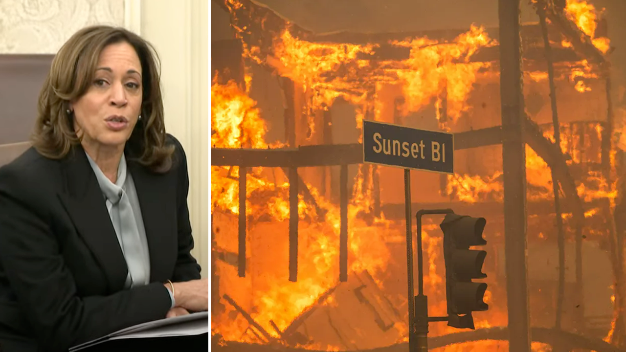 Harris criticized for using "word salad" to inform LA wildfire victims about the importance of patience.