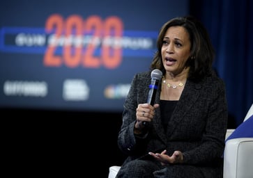 Kamala Harris suggested that police could conduct surprise visits to the homes of legal gun owners for the purpose of conducting safe storage checks.