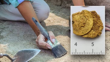 In an unexpected discovery, archaeologists unearth valuable gold coins in an unusual setting.