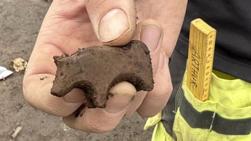 Icelandic archaeologists discover ancient plaything, debate over figurine's animal classification.