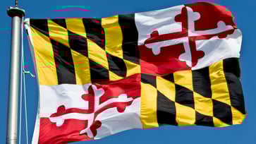 Laws in Maryland that impose fines ranging from $5 to $500 for manufacturing, trading, or selling 'stench bombs' are considered unusual.