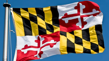 Laws in Maryland that impose fines ranging from $5 to $500 for manufacturing, trading, or selling 'stench bombs' are considered unusual.