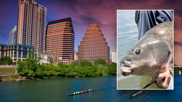 A record-breaking 71-pound fish is caught by an angler in the notorious Texas lake.