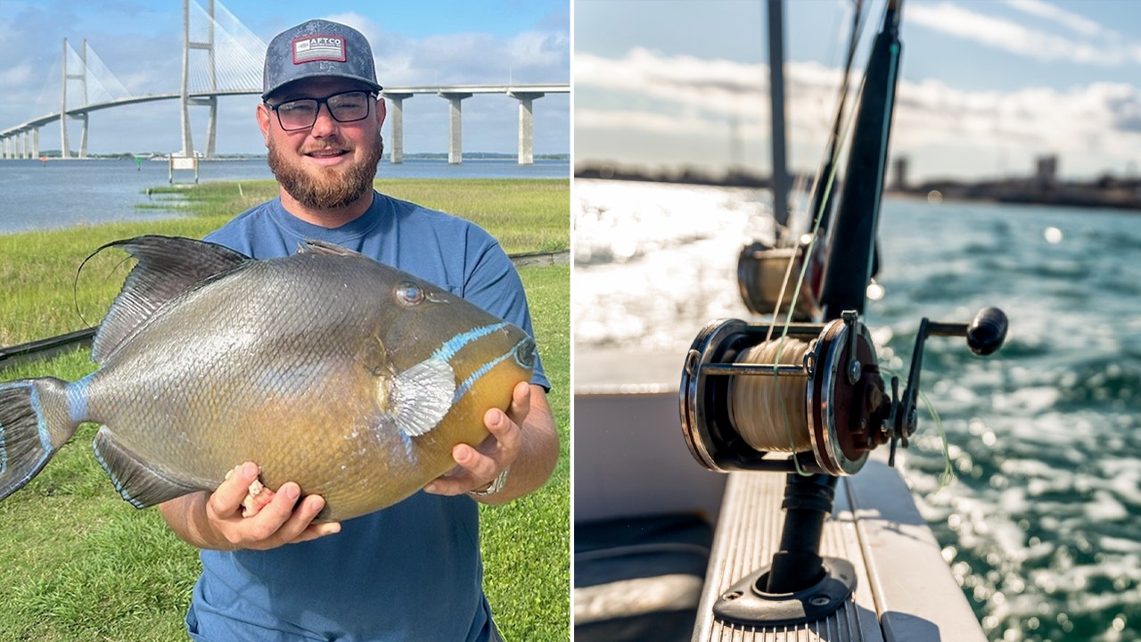 Two months after the state record for a unique-looking fish was broken, a Georgia angler catches the fish.