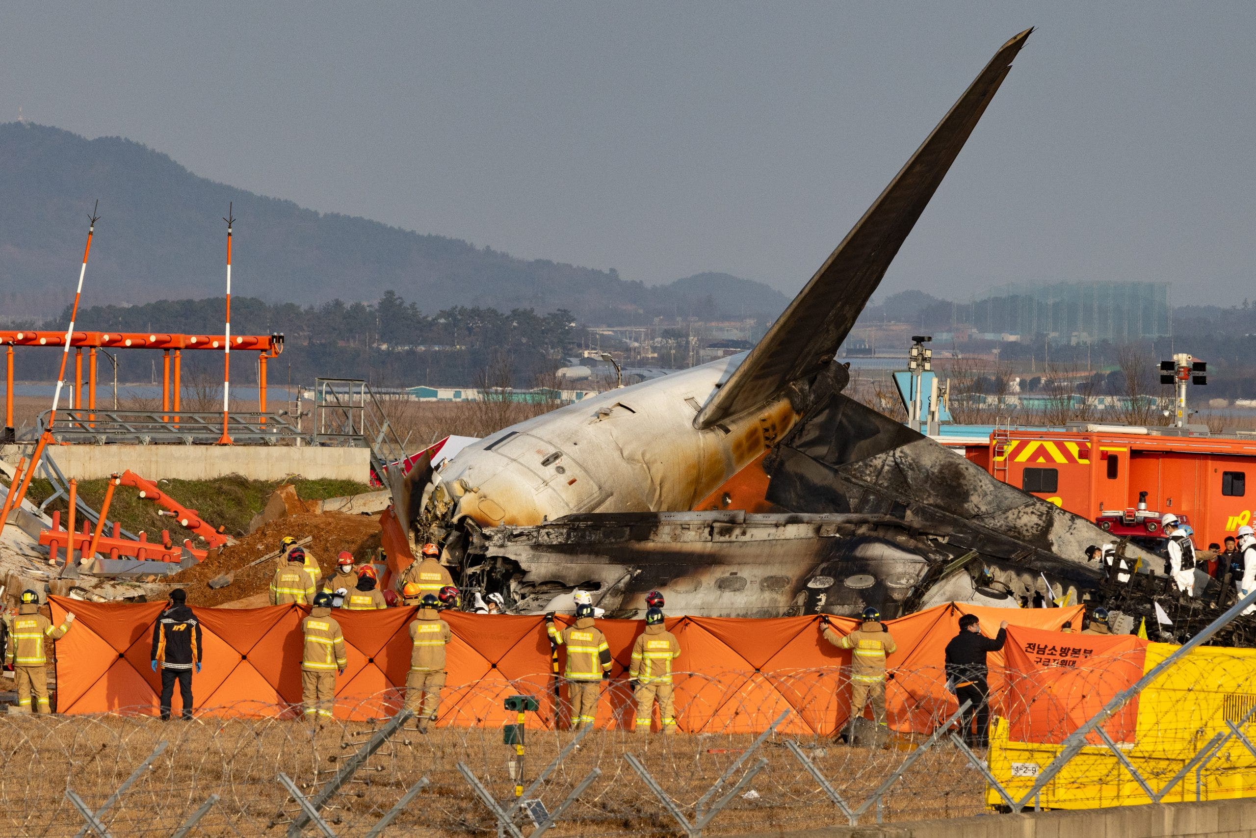 Aviation expert questions the validity of bird strike theory in the South Korean plane crash: "It doesn't add up"