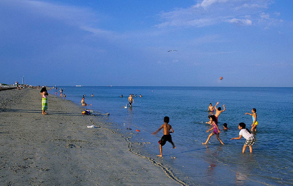 A human head was discovered on a popular South Florida beach, and Miami-Dade police are now investigating the gruesome find.