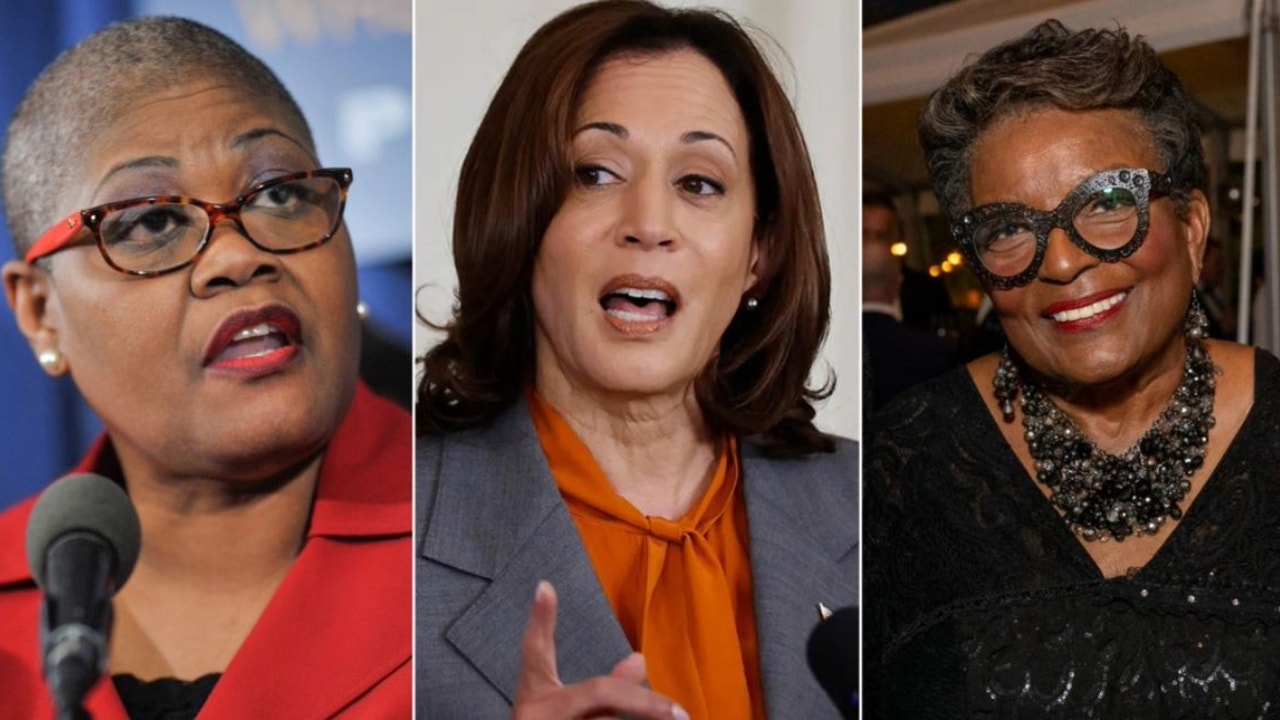 Black activists linked to Vice President Harris could undermine the Democratic Party's "unity" message with past rhetoric.