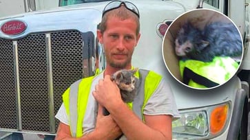 Just in time, a kitten from New Jersey was rescued from a waste compactor.