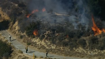 Brush fire in California quickly extinguished after suspect's arrest.