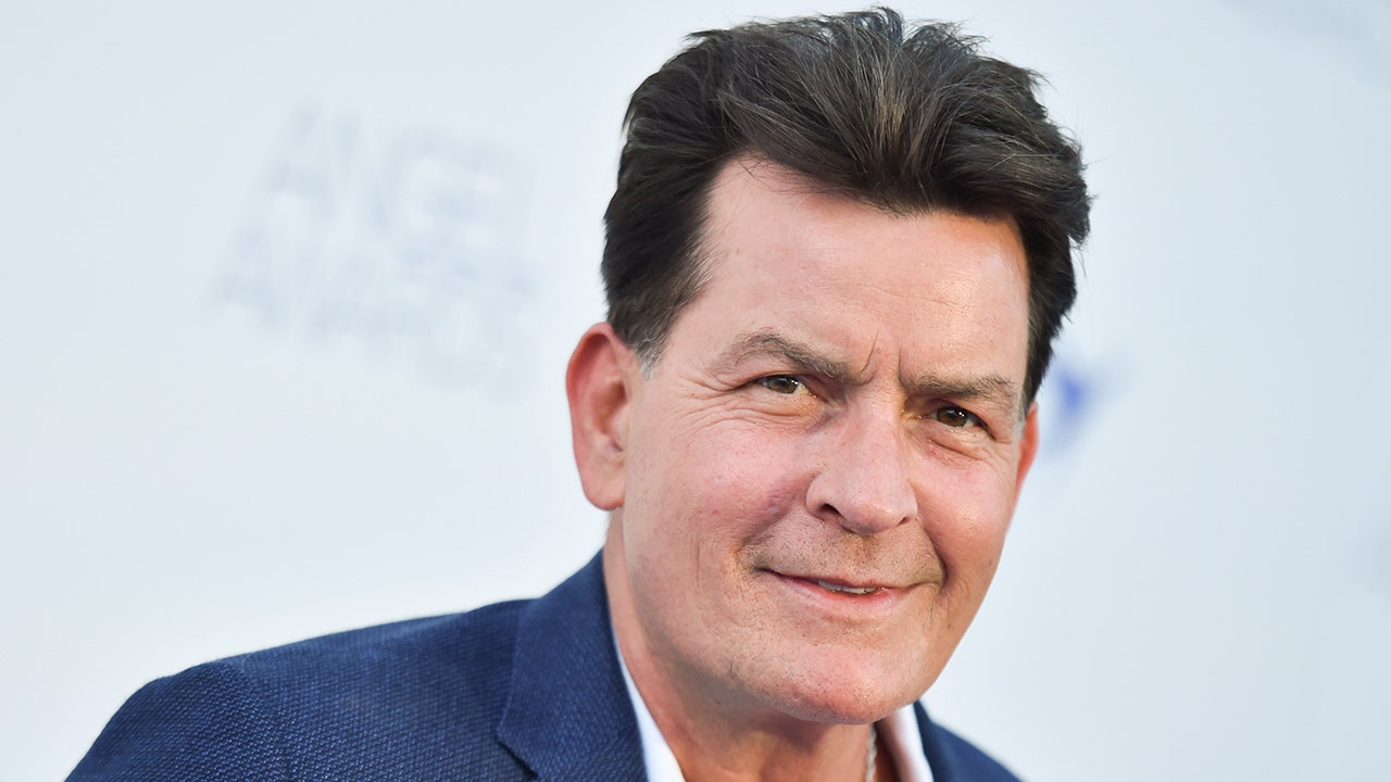 The neighbor of Charlie Sheen has pleaded not guilty to a felony assault charge after being accused of attacking the actor at his Malibu home.