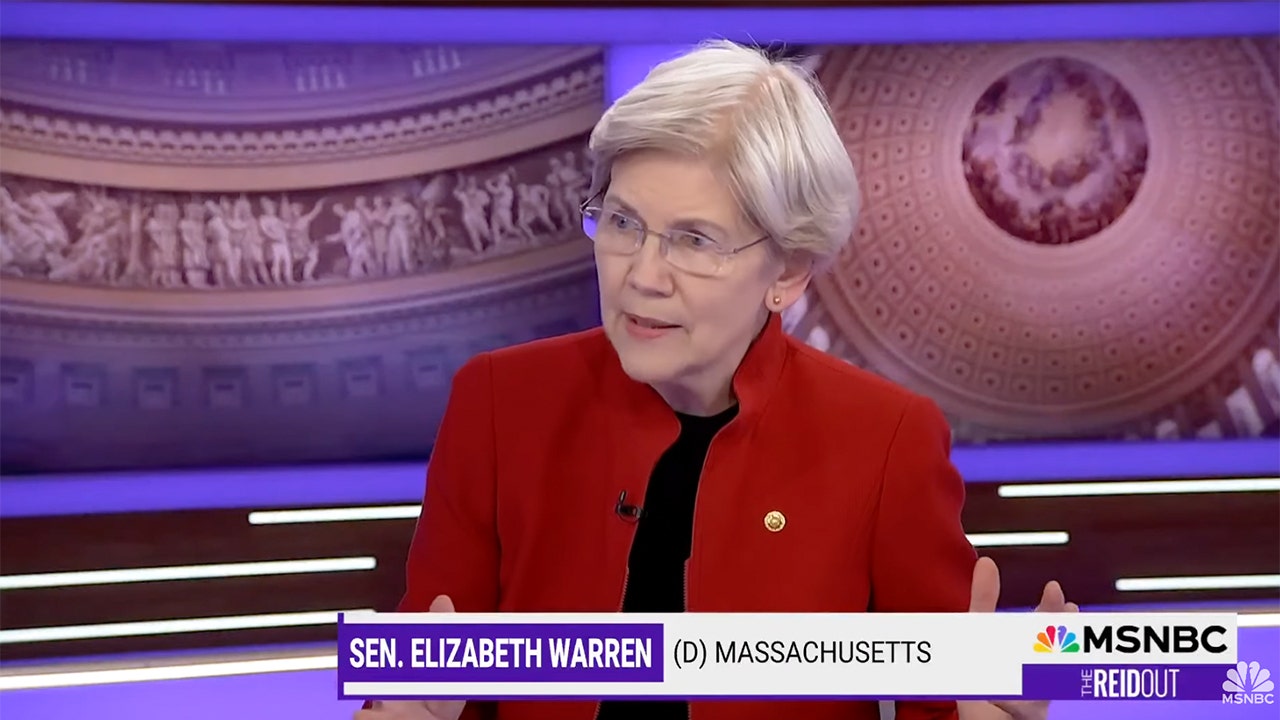 Elizabeth Warren warns that the killing of UnitedHealthcare CEO was a cautionary tale: "You can only push people so far."