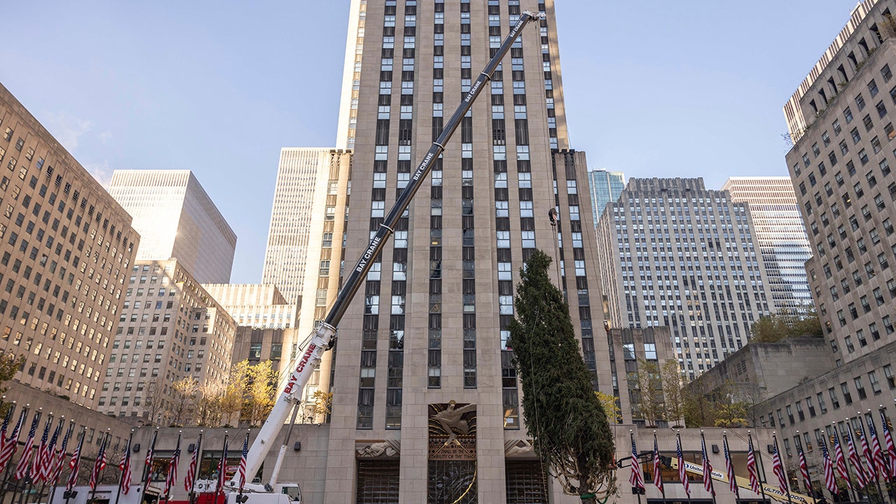 The Rockefeller Center Christmas tree is brought to New York City.