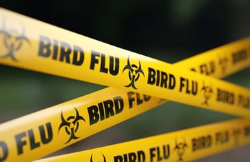 A suspected human bird flu case has led to the hospitalization of a teenage patient in Canada.