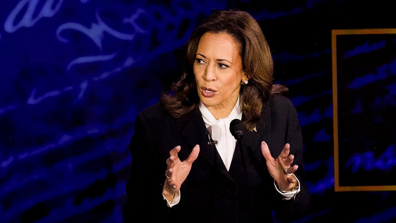 Kamala Harris needs to do more to win over undecided voters, according to a New York Times survey: "I'm still not convinced."