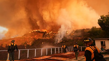 Prisoners and firefighters from Mexico are being called upon by California to help battle the Los Angeles wildfires.