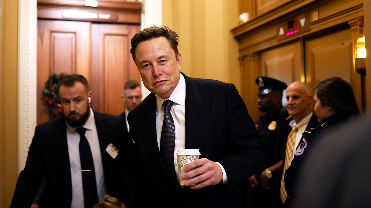 Elon Musk is accused by Germany of attempting to influence its national elections.