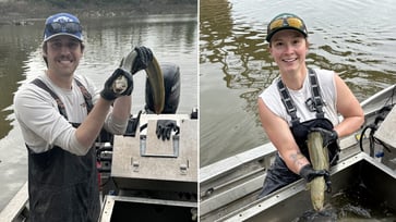 A fascinating species of ocean-born fish has been spotted swimming in the Kansas River for the first time in a decade.