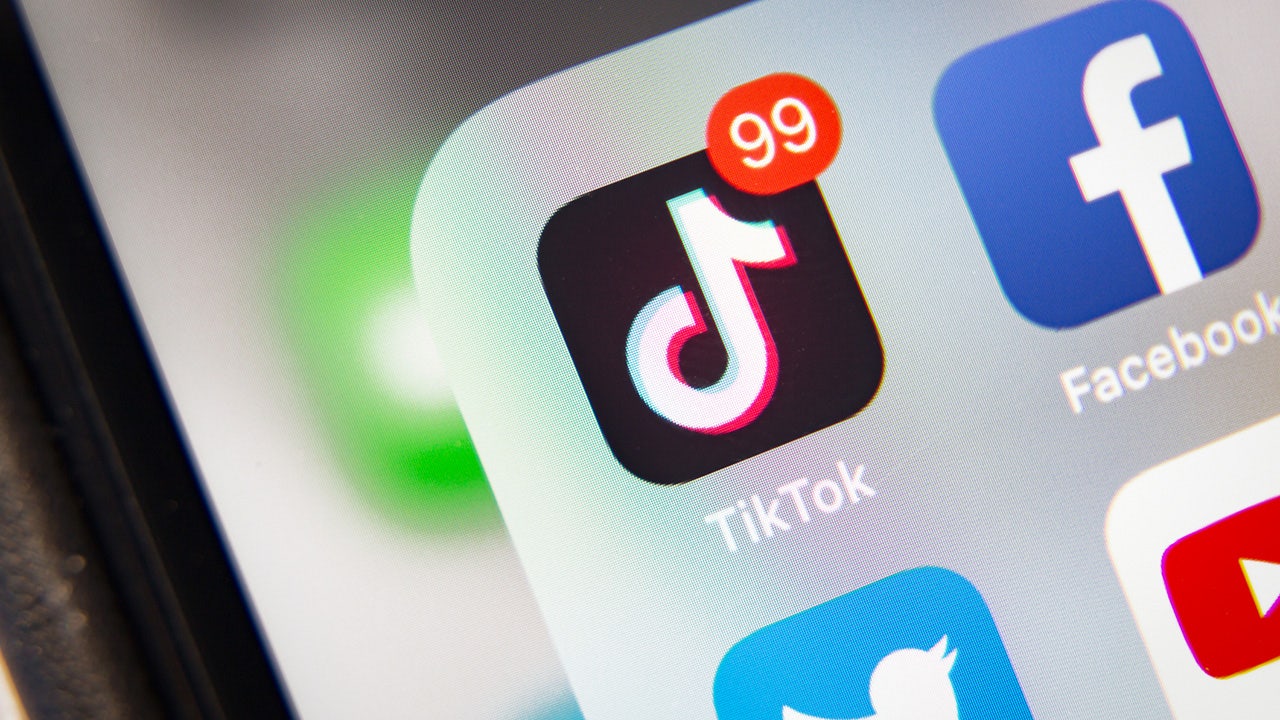 SCOTUS TikTok ban receives mixed reactions from privacy groups, experts, and parents.