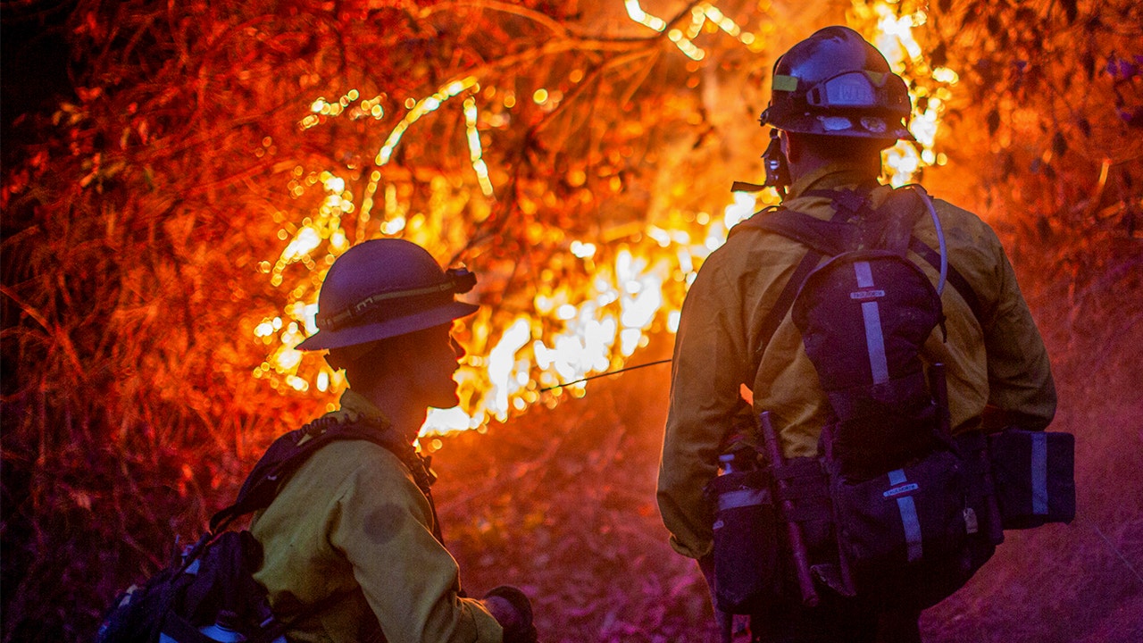 The founder of Weelicious teams up with the organization founded by the CEO of KIND Snacks to aid LA wildfire victims.