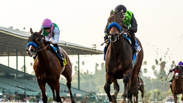 Devastating wildfires in the Los Angeles region have led to the postponement of horse racing and college basketball games.