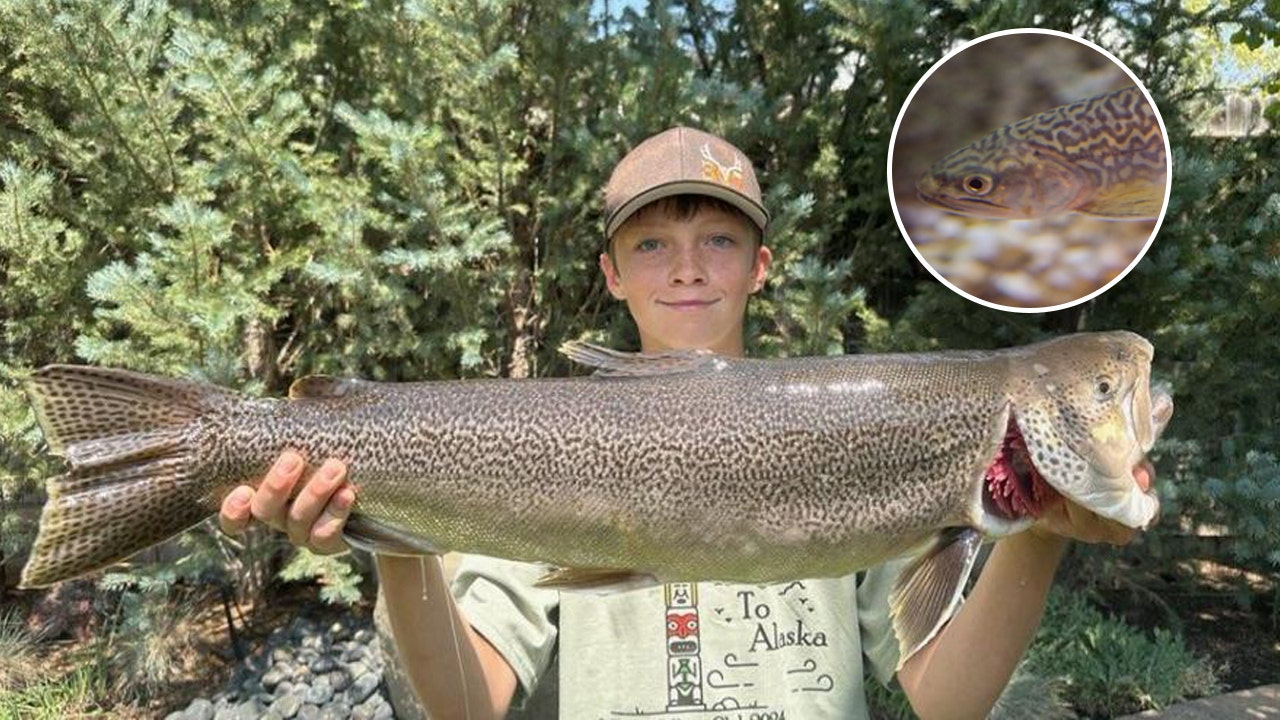 A state fishing record for tiger trout is broken by a teen.